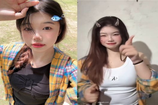 Hãy sử dụng từ khóa có thể hiểu được để miêu tả một Tiktoker lợn con bướm non